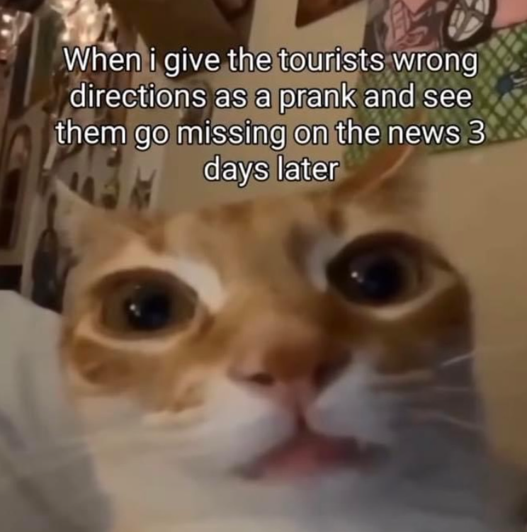 When i give the tourists wrong directions as a prank and see them go missing on the news 3 days later