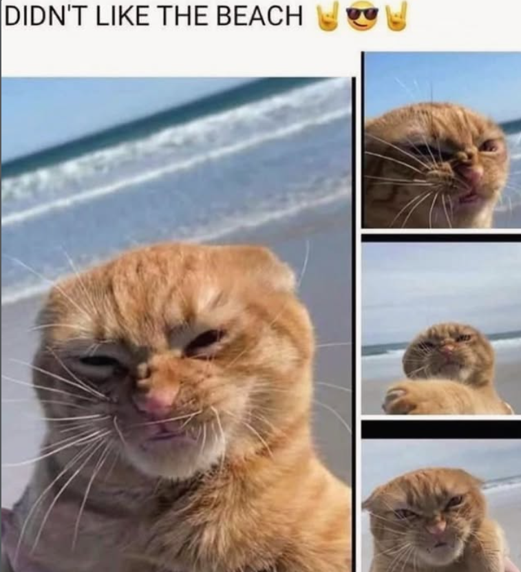 DIDN'T LIKE THE BEACH