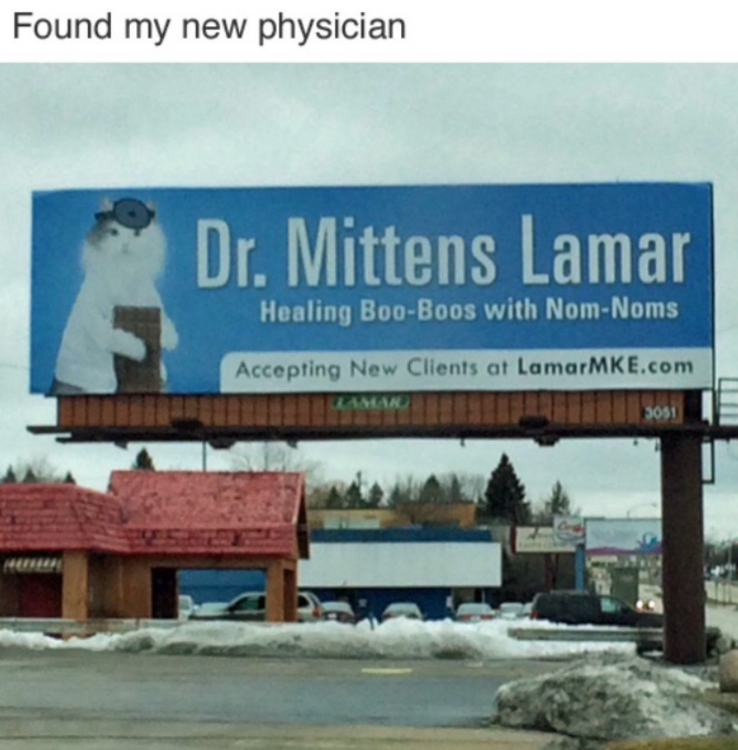 Found my new physician Dr. Mittens Lamar Healing Boo-Boos with Nom-Noms Accepting New Clients at LamarMKE.com AMAIG 3051