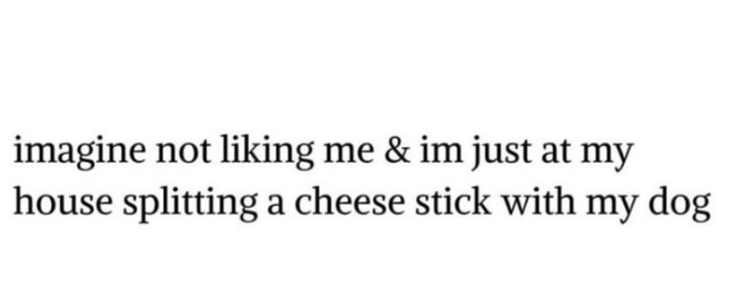 imagine not liking me & im just at my house splitting a cheese stick with my dog