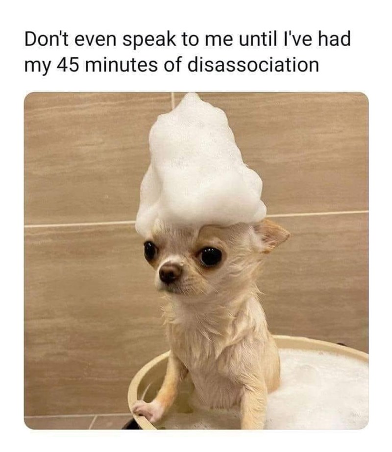 Don't even speak to me until I've had my 45 minutes of disassociation
