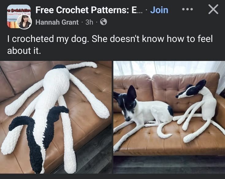 we Gradat Pallan Free Crochet Patterns: E... · Join Export Tips&Trick Hannah Grant ⚫ 3h × I crocheted my dog. She doesn't know how to feel about it.