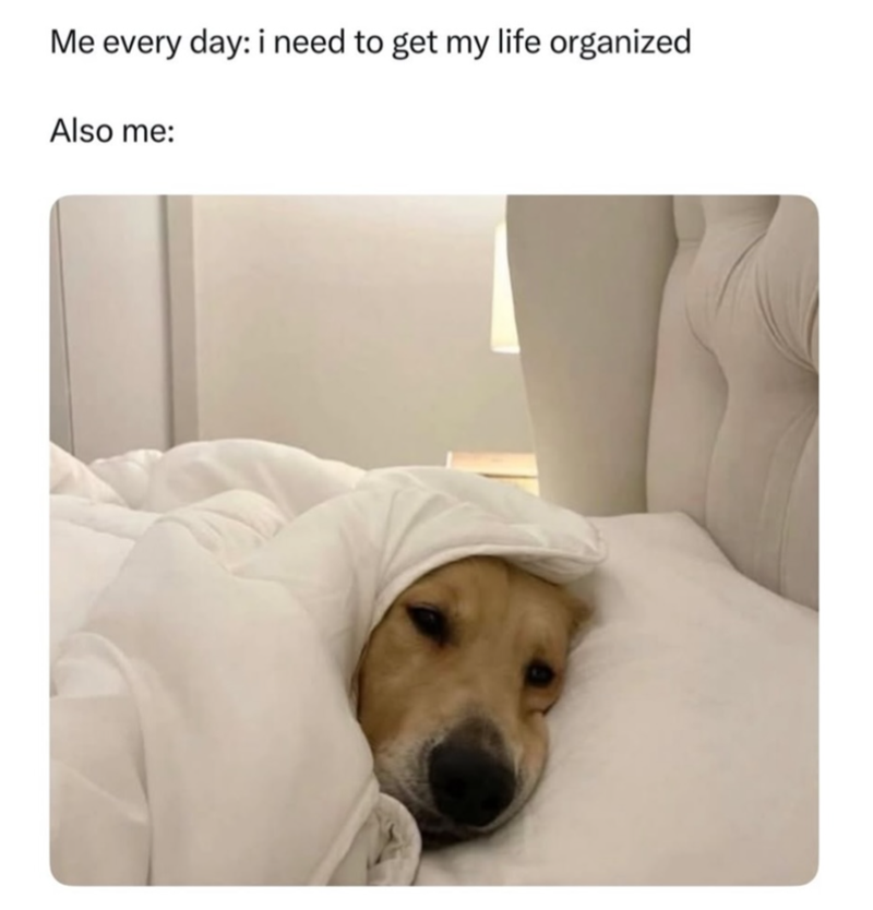 Me every day: i need to get my life organized Also me: