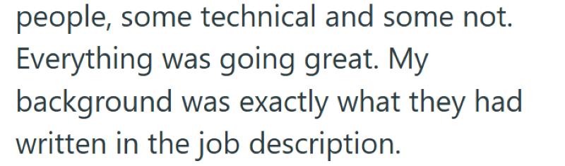 people, some technical and some not. Everything was going great. My background was exactly what they had written in the job description.