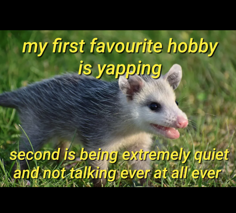my first favourite hobby is yapping second is being extremely quiet and not talking ever at all ever