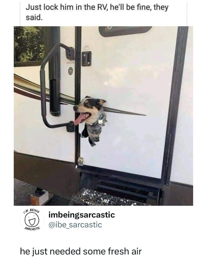 Just lock him in the RV, he'll be fine, they said. SVF276 I'M BEING SARCASTIC imbeingsarcastic @ibe_sarcastic he just needed some fresh air