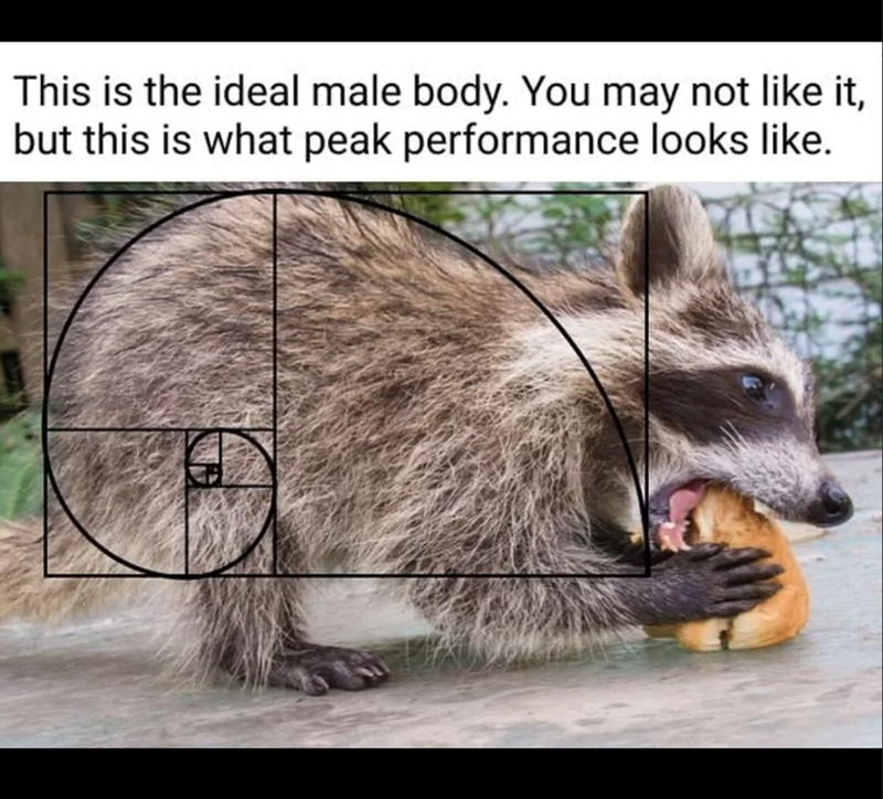 This is the ideal male body. You may not like it, but this is what peak performance looks like.