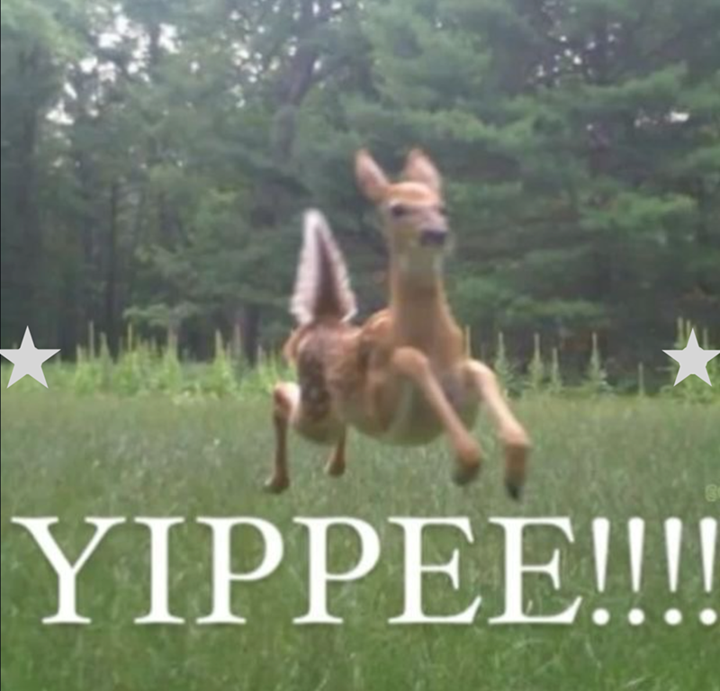 YIPPEE!!!!