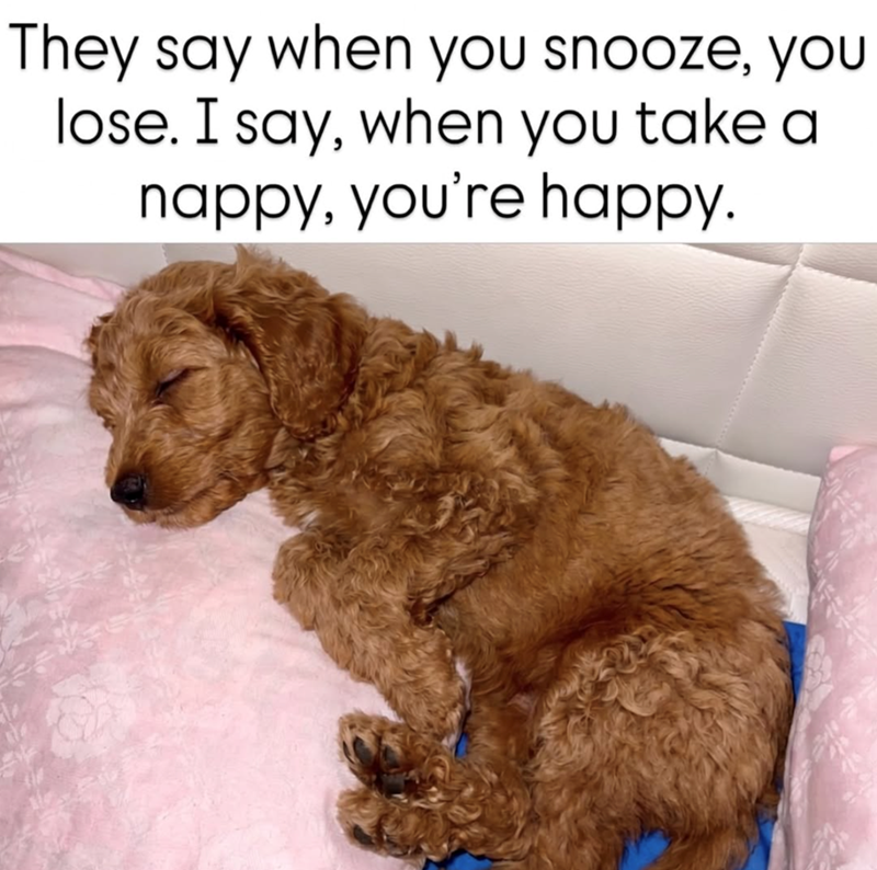 They say when you snooze, you lose. I say, when you take a nappy, you're happy.