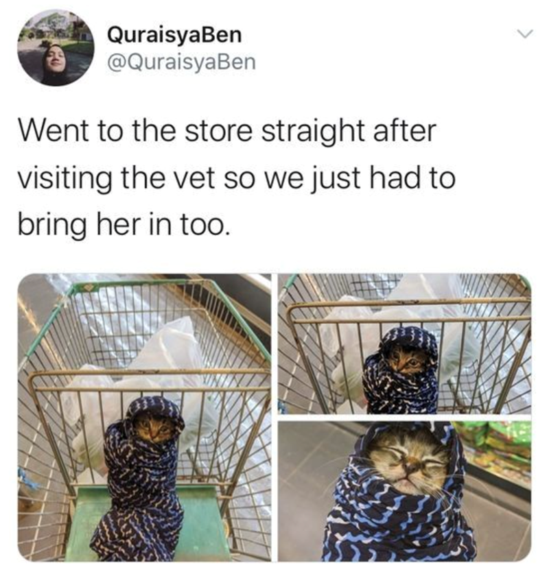 QuraisyaBen @QuraisyaBen Went to the store straight after visiting the vet so we just had to bring her in too. WININ