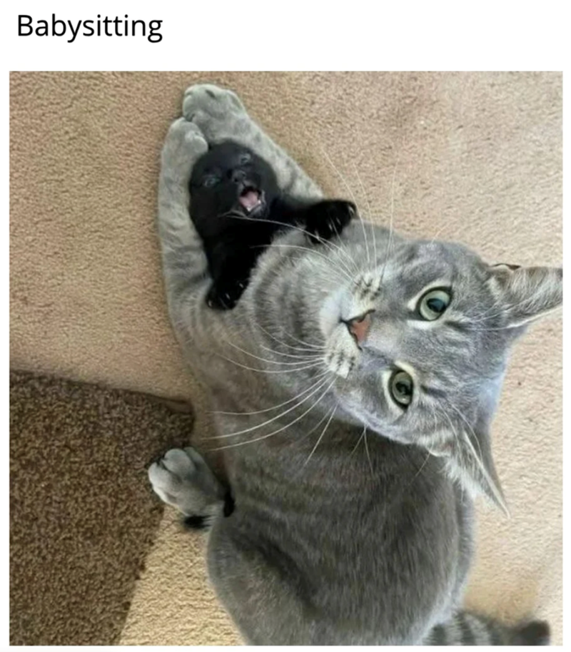 Babysitting