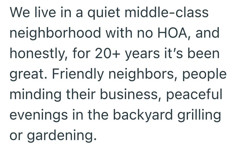We live in a quiet middle-class neighborhood with no HOA, and honestly, for 20+ years it's been great. Friendly neighbors, people minding their business, peaceful evenings in the backyard grilling or gardening.