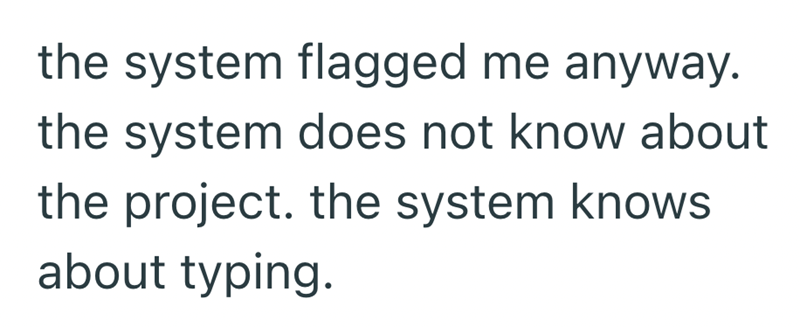 the system flagged me anyway. the system does not know about the project. the system knows about typing.