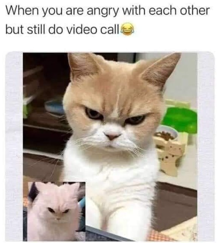 When you are angry with each other but still do video call.