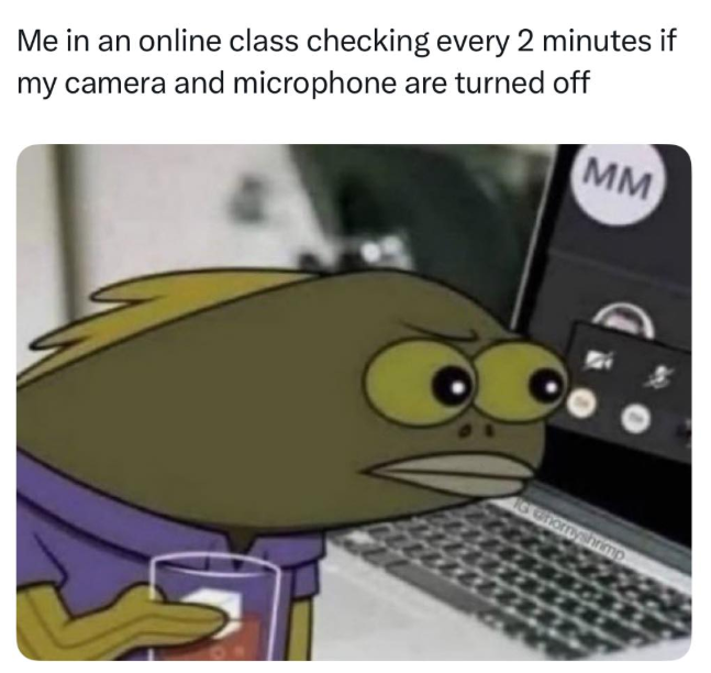 Me in an online class checking every 2 minutes if my camera and microphone are turned off MM IG Chornyshrimp