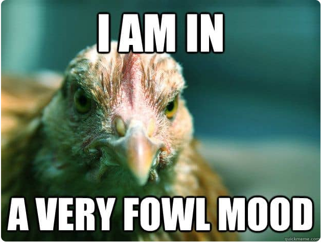 LAM IN A VERY FOWL MOOD quickmeme.com