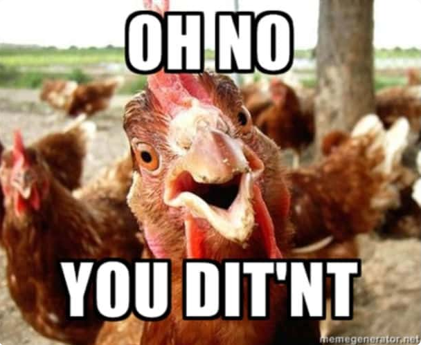 OH NO YOU DIT'NT memegenerator.net