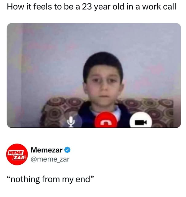 How it feels to be a 23 year old in a work call MEME Memezar ZAR @meme_zar "nothing from my end" -