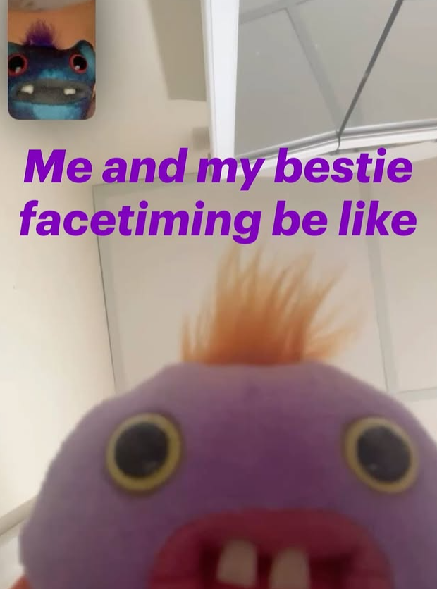 Me and my bestie facetiming be like