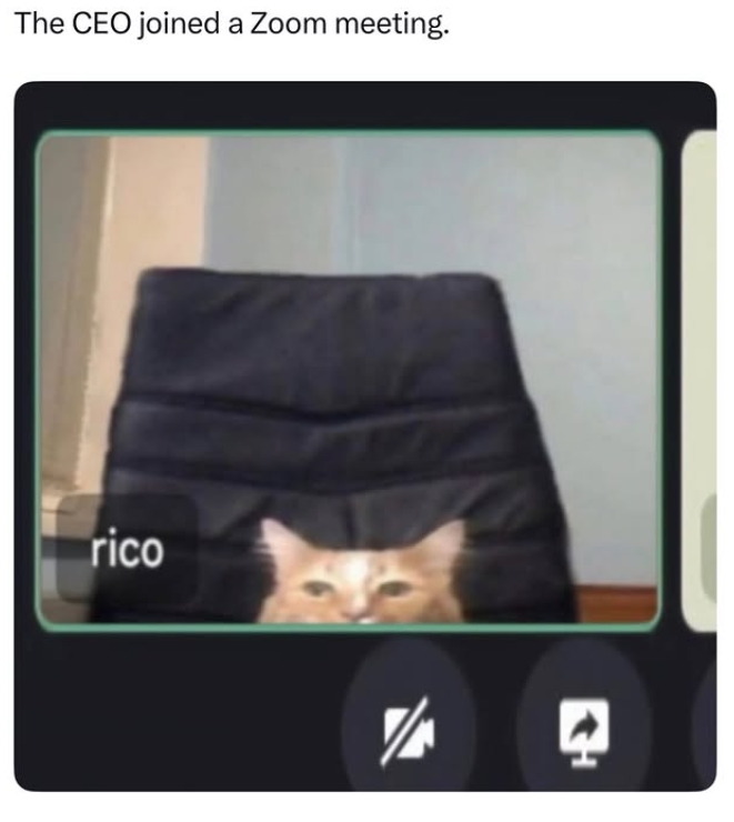 The CEO joined a Zoom meeting. rico