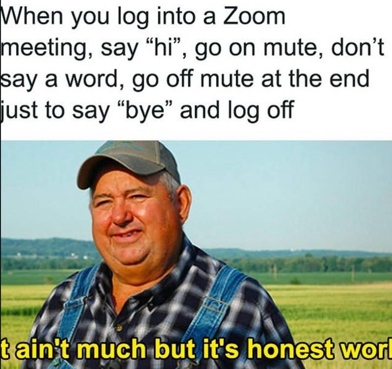 When you log into a Zoom meeting, say "hi", go on mute, don't say a word, go off mute at the end just to say "bye" and log off t ain't much but it's honest work
