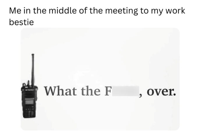 Me in the middle of the meeting to my work bestie What the F over.