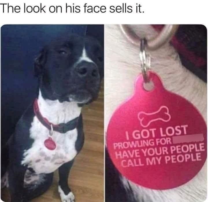 The look on his face sells it. I GOT LOST PROWLING FOR HAVE YOUR PEOPLE CALL MY PEOPLE