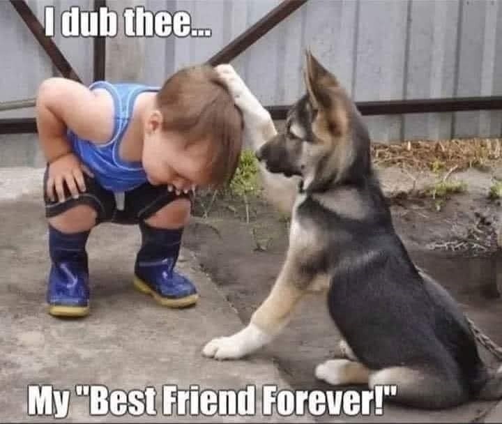 I dub thee... My "Best Friend Forever!"