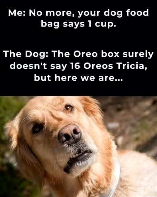 Me: No more, your dog food bag says 1 cup. The Dog: The Oreo box surely doesn't say 16 Oreos Tricia, but here we are...