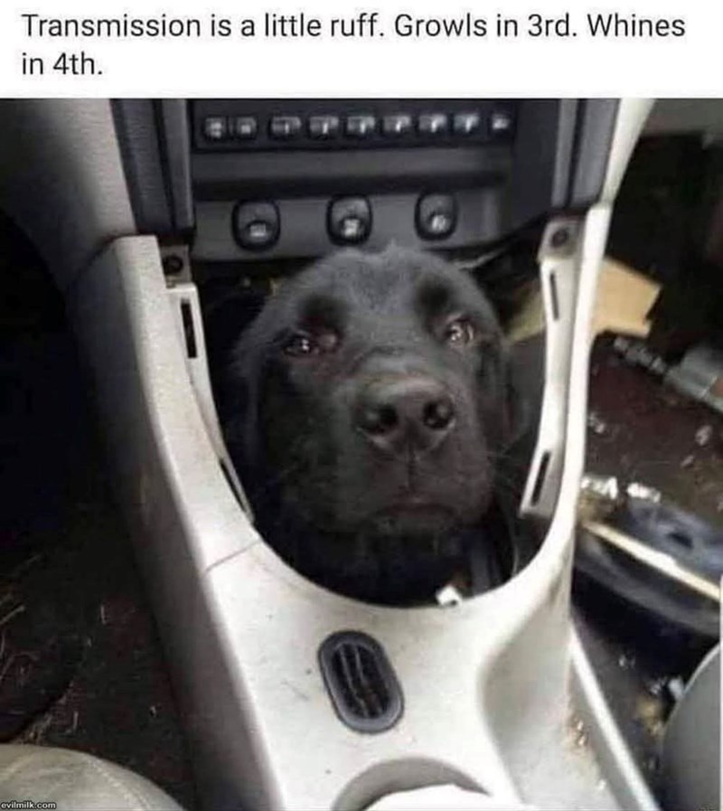 Transmission is a little ruff. Growls in 3rd. Whines in 4th. evilmilk.com