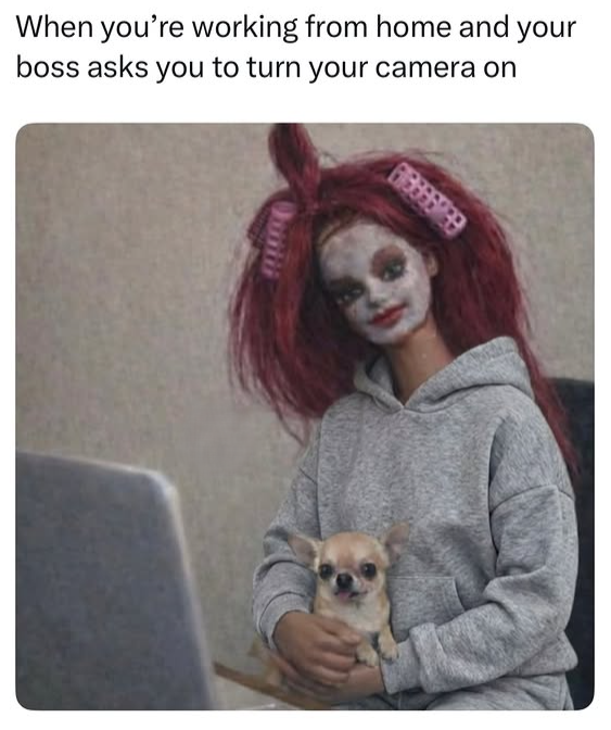 When you're working from home and your boss asks you to turn your camera on