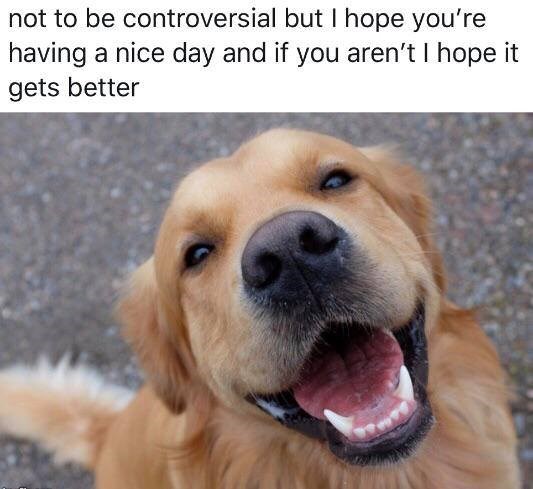 not to be controversial but I hope you're having a nice day and if you aren't I hope it gets better