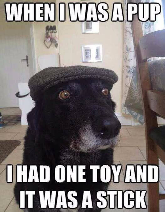 WHEN I WAS A PUP T I HAD ONE TOY AND IT WAS A STICK