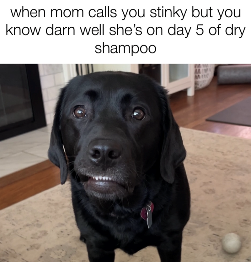 when mom calls you stinky but you know darn well she's on day 5 of dry shampoo MAIN M