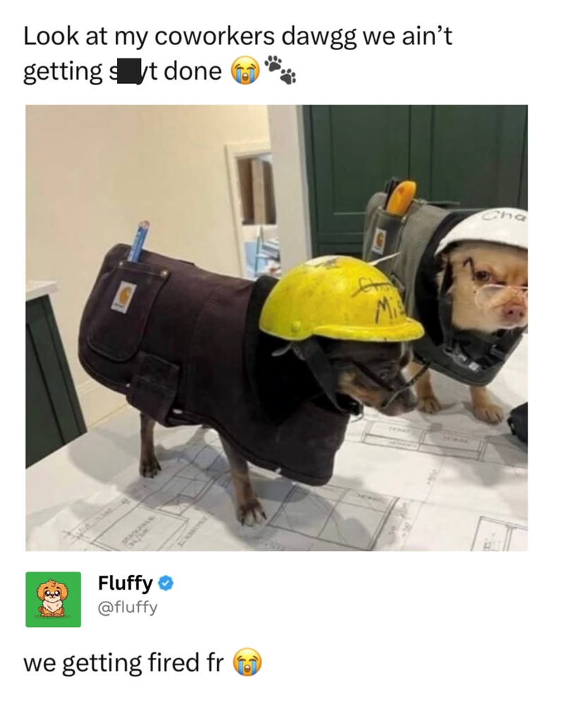 Look at my coworkers dawgg we ain't getting st done SPACCIONAR Fluffy @fluffy we getting fired fr Cha