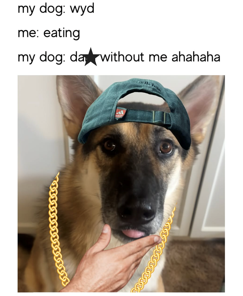 my dog: wyd me: eating my dog: day without me ahahaha