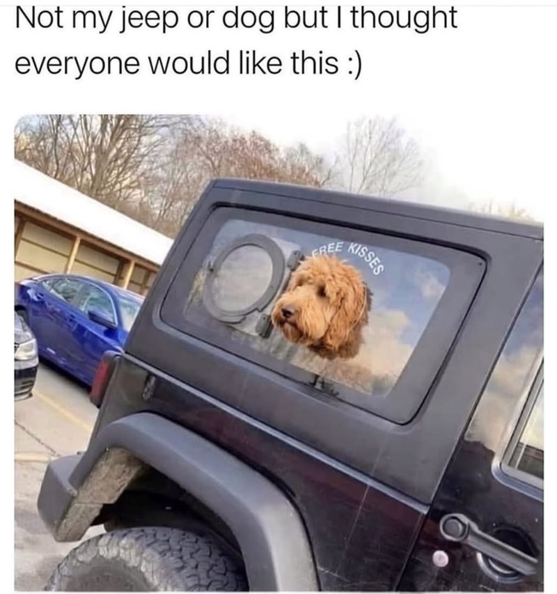 Not my jeep or dog but I thought everyone would like this :) FREE KISSES