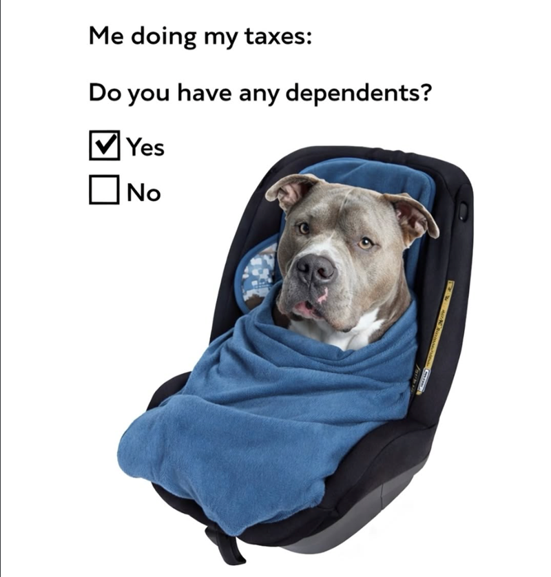 Me doing my taxes: Do you have any dependents? Yes ☐ No
