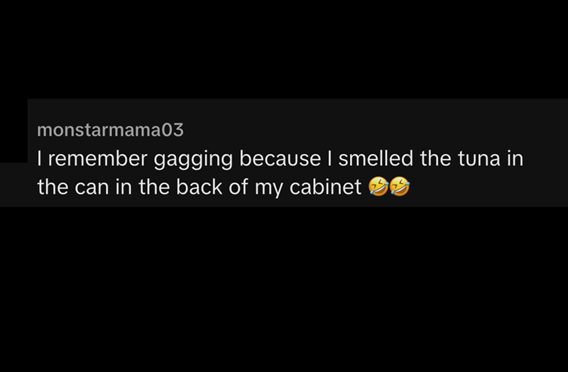 monstarmama03 I remember gagging because I smelled the tuna in the can in the back of my cabinet