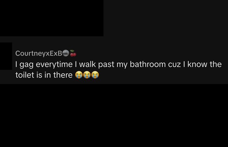 CourtneyxExB I gag everytime I walk past my bathroom cuz I know the toilet is in there