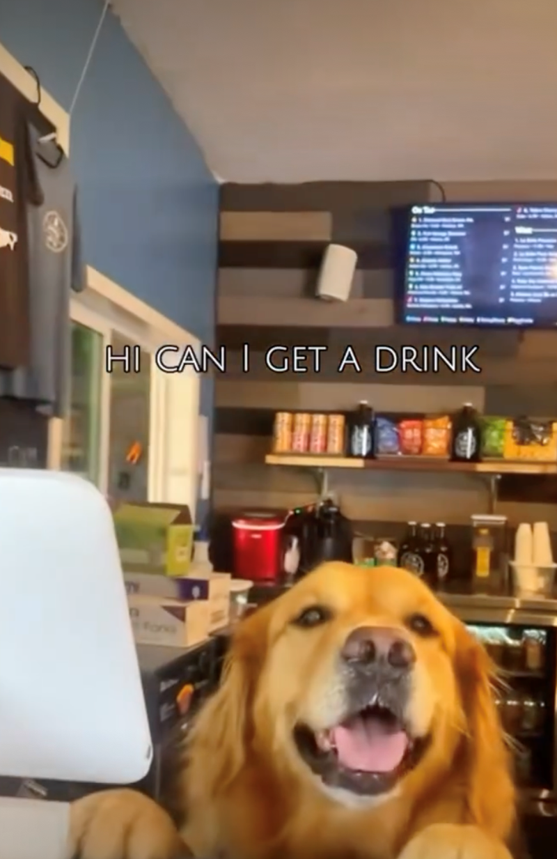 HI CAN I GET A DRINK