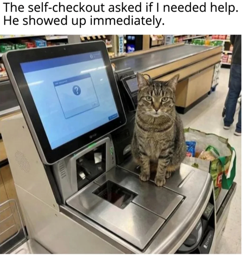 The self-checkout asked if I needed help. He showed up immediately.