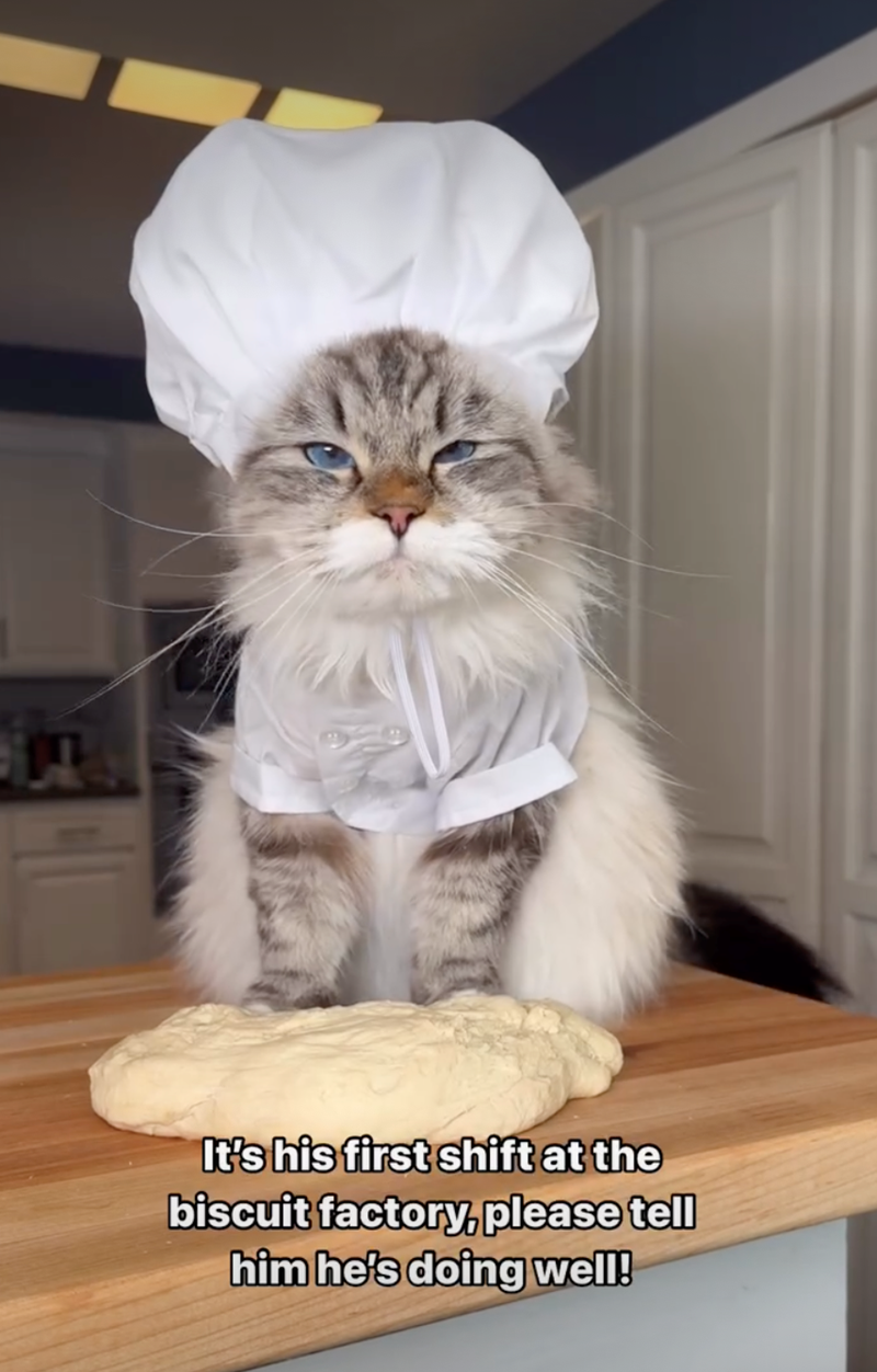 It's his first shift at the biscuit factory, please tell him he's doing well!