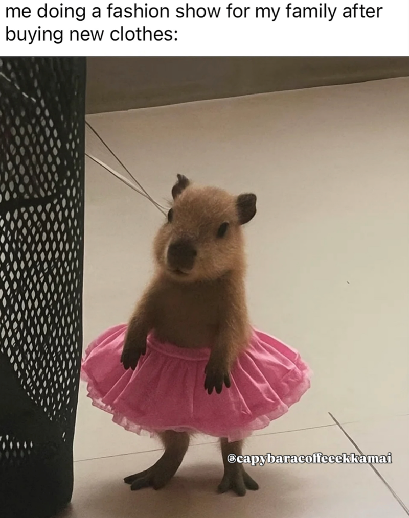 me doing a fashion show for my family after buying new clothes: capybaracoffeeekkamai