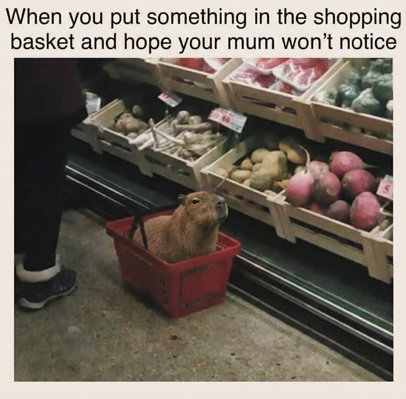 When you put something in the shopping basket and hope your mum won't notice
