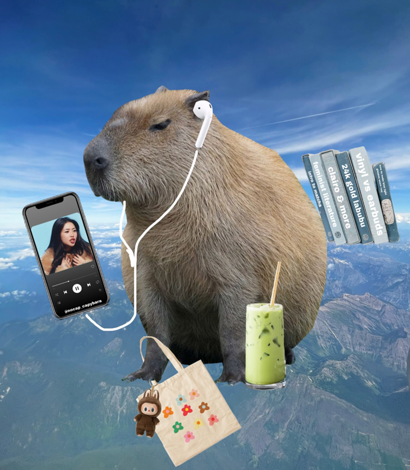 how to make blue light vinyl vs earbuds 24k gold labubu clairo & more feminist literature → intro to matcha 寫寓