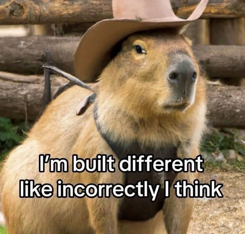 I'm built different like incorrectly I think