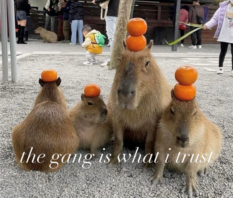 the gang is what i trust