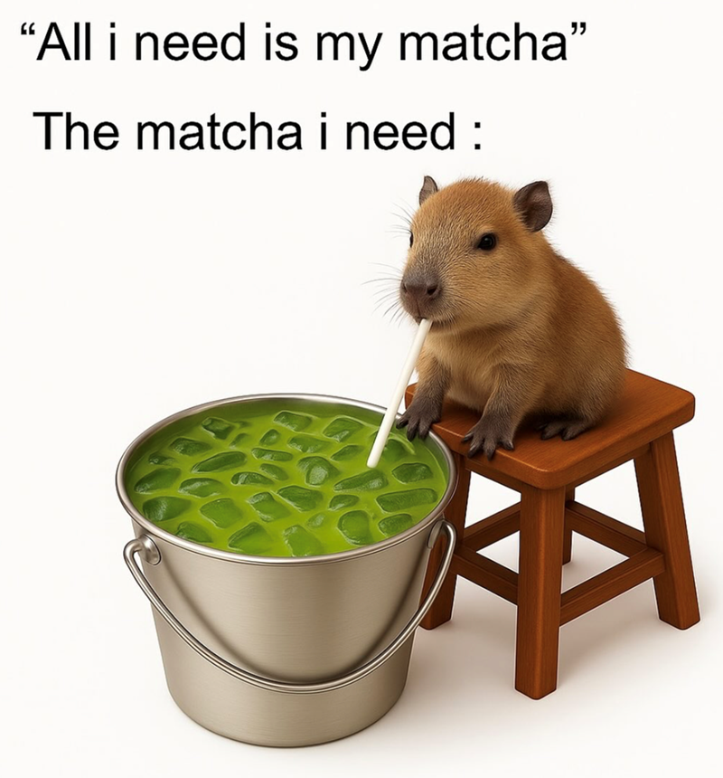 “All i need is my matcha” The matcha i need :