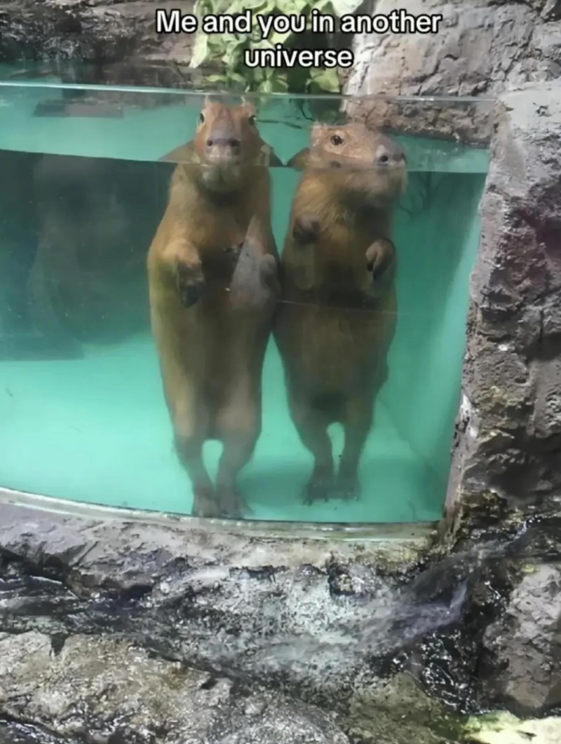 Me and you in another universe